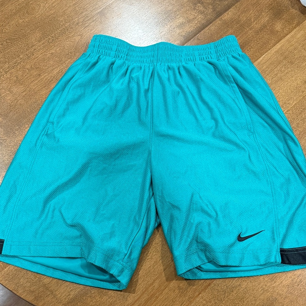 Nike Men's Turquoise Athletic Shorts